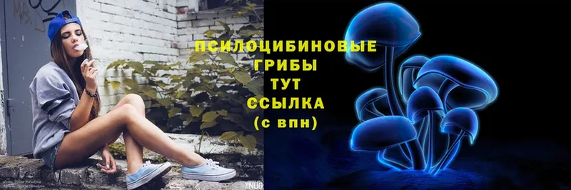 Галлюциногенные грибы Psilocybine cubensis  площадка как зайти  Чебоксары 